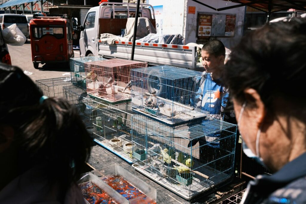 variety of fresh fish and eggs at outdoor market stand